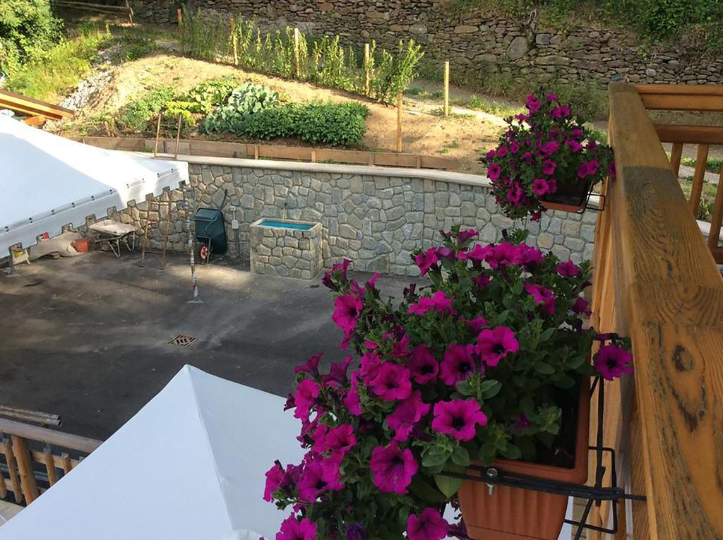 B&B La Marmotta Malè Exterior foto